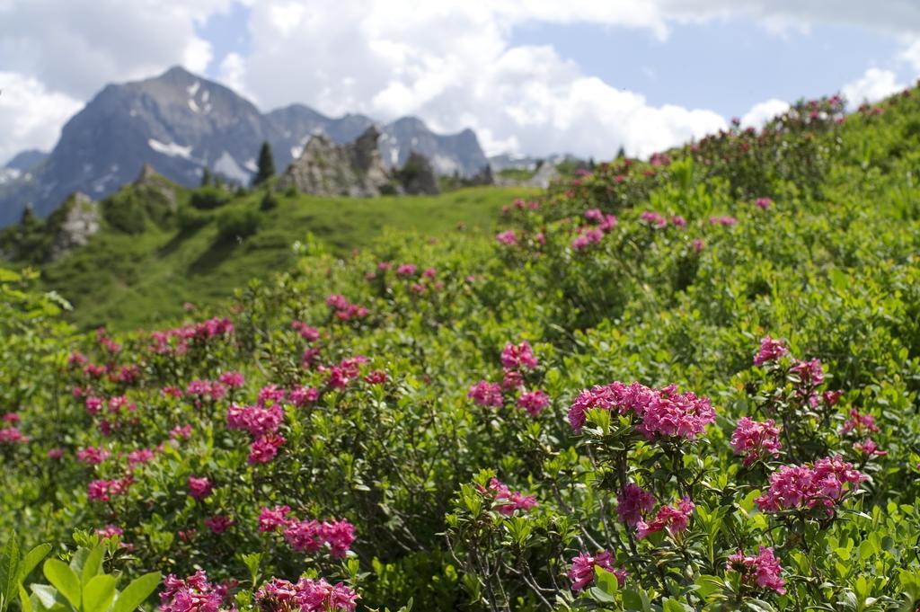 Haus Jehle Ξενοδοχείο Lech am Arlberg Εξωτερικό φωτογραφία